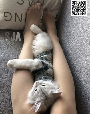 霹雳火电影_4K在线观看