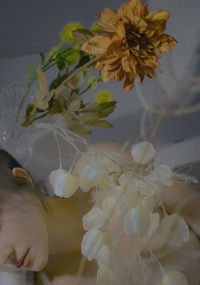 夏洛特charlotte_国语配音超清